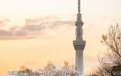WBCSD Hybrid Council Meeting Tokyo