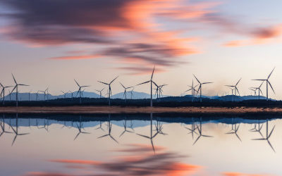 Pricing structures & trends for corporate renewable PPAs