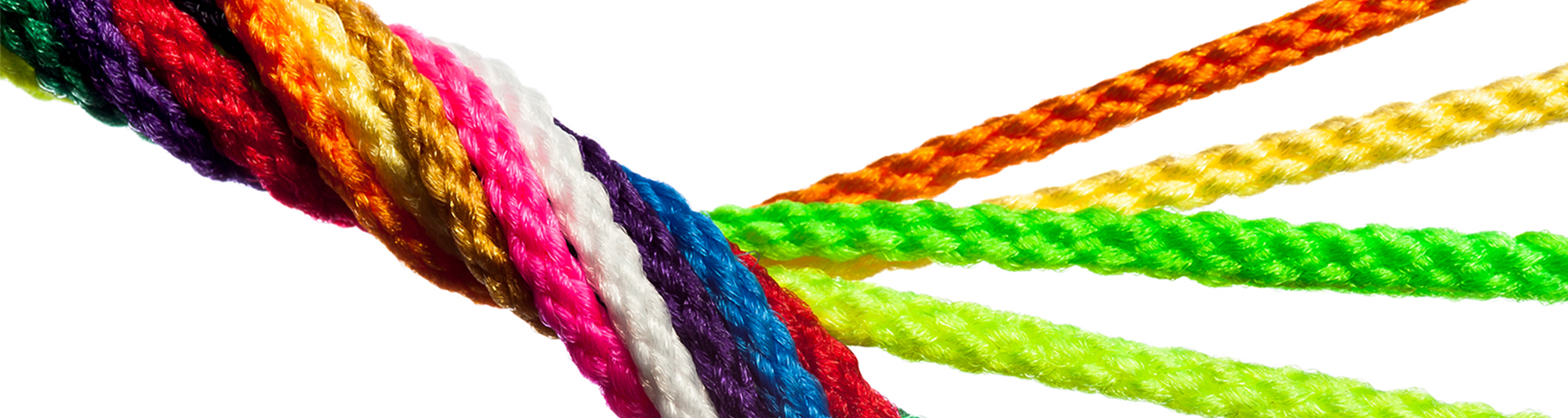 Ropes Banner