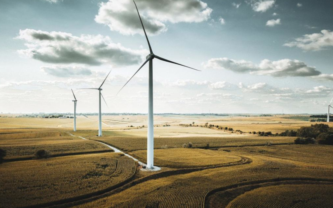 International Energy Agency ‘Net Zero by 2050 report’—Business summary