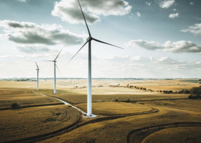 International Energy Agency ‘Net Zero by 2050 report’—Business summary