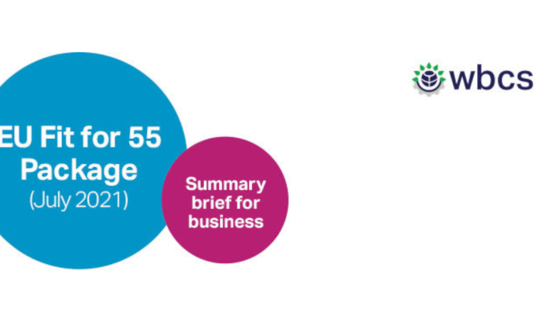 EU Fit for 55 – Business Summary