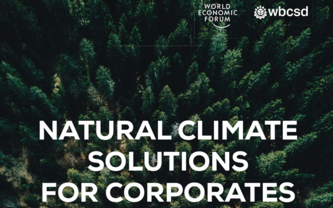 Natural Climate Solutions for Corporates