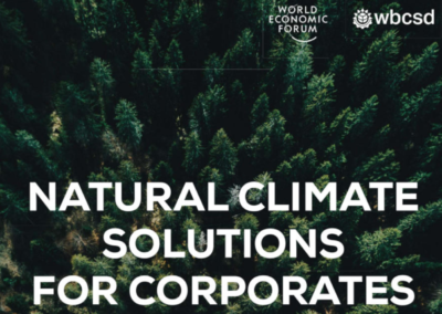 Natural Climate Solutions for Corporates