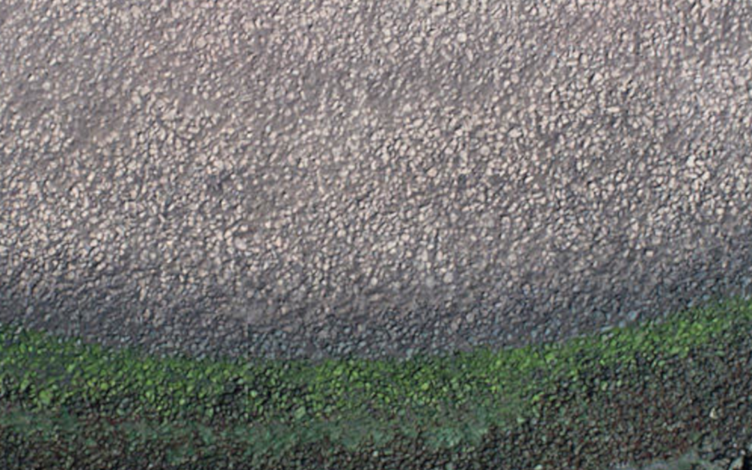 Business Climate Resilience: Thriving Through the Transformation