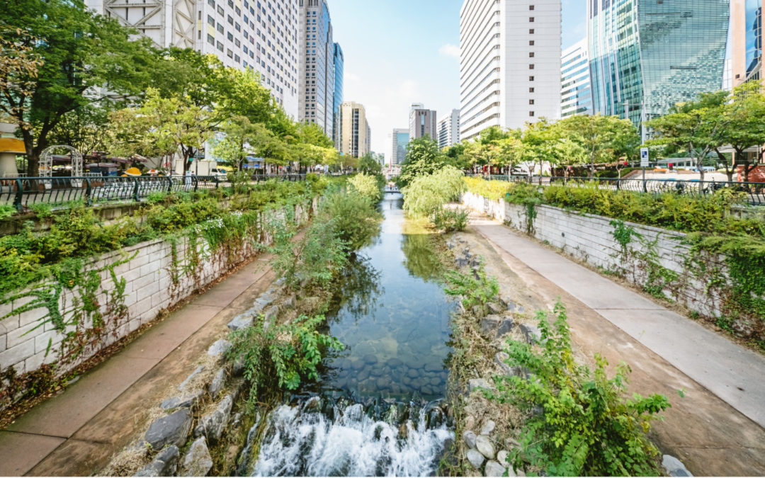 A net-zero circular water future for cities