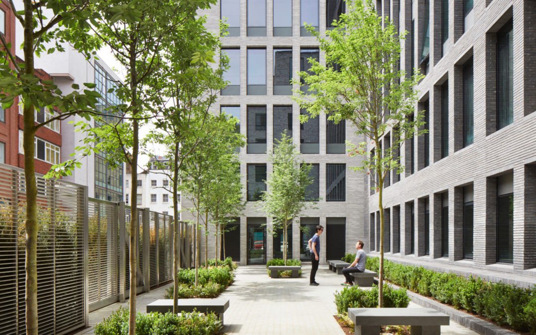 Net-zero buildings: Where do we stand?