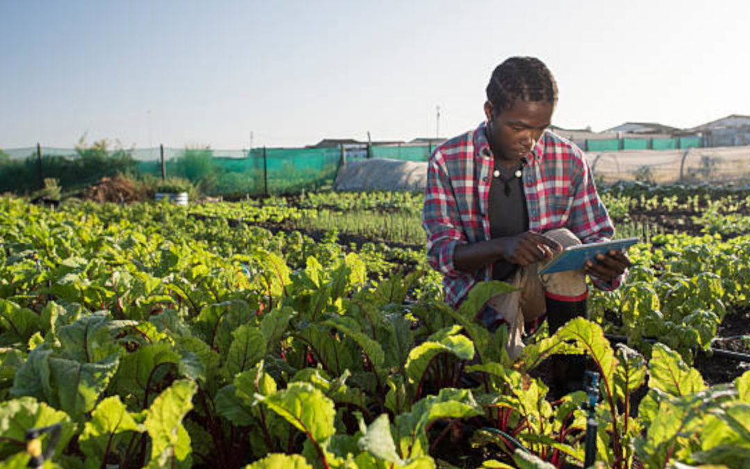 From the Ground Up – Soil health for climate change mitigation and food system transformation