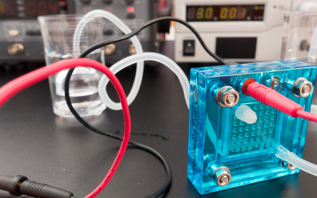 The Roadmap to Net-zero with Hydrogen