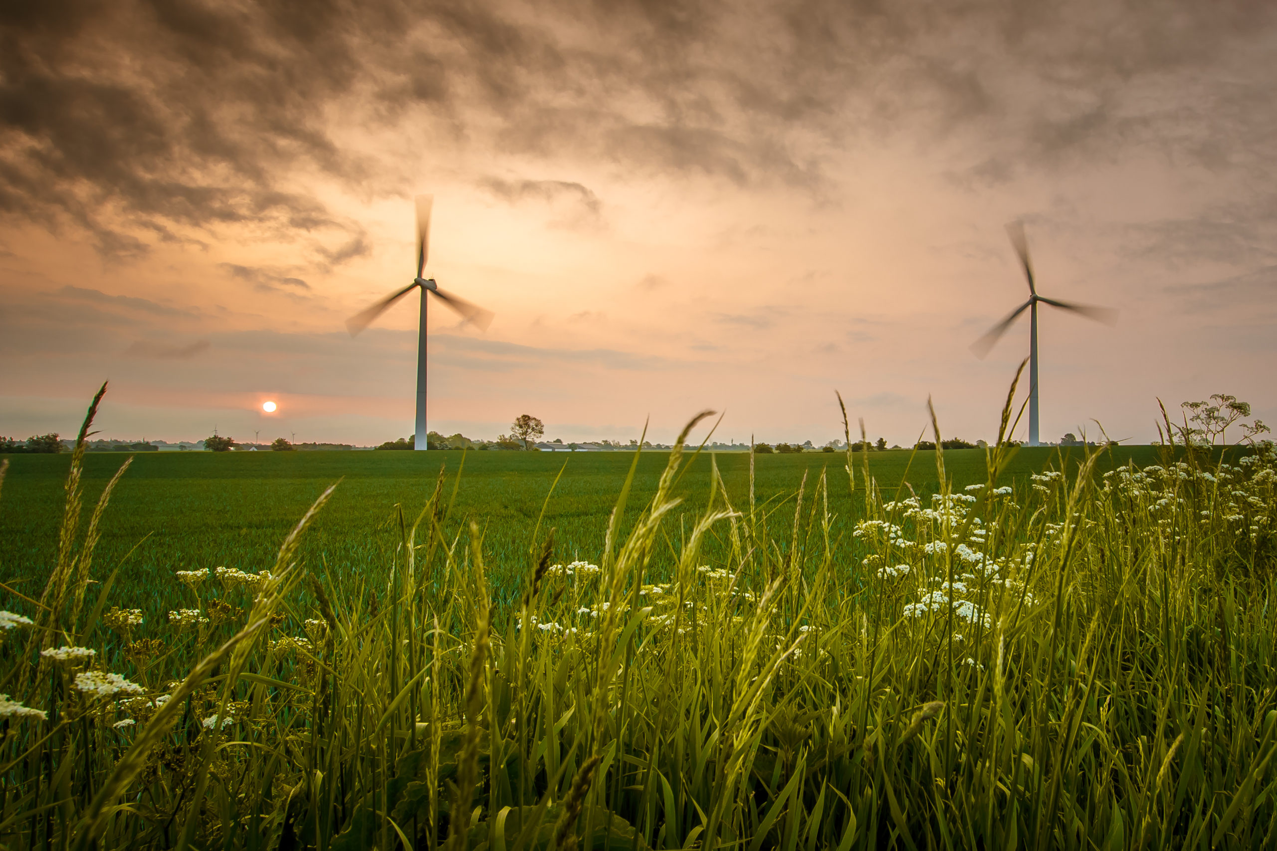 Navigating the accountability landscape in driving towards net zero Navigating the accountability landscape in driving towards net zero