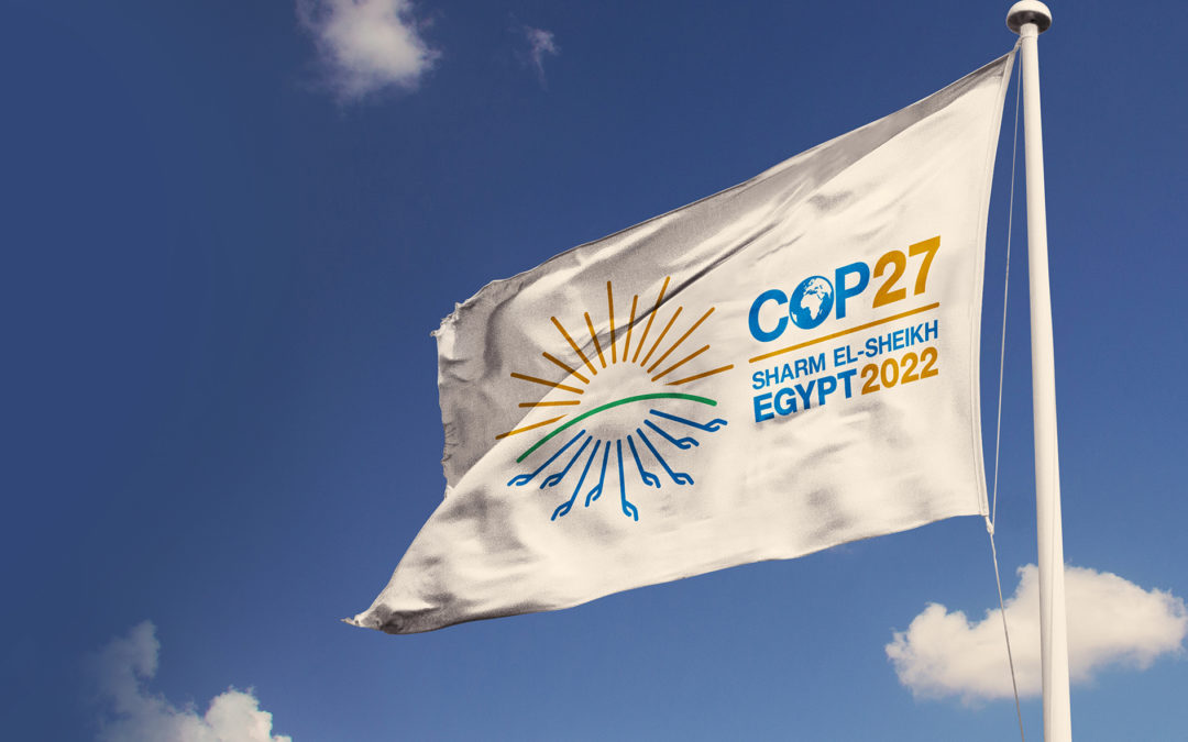DNV – DNV at COP27: From ambition to implementation