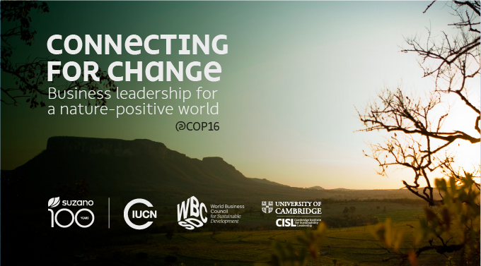 Connecting for change: business leadership for a nature-positive world