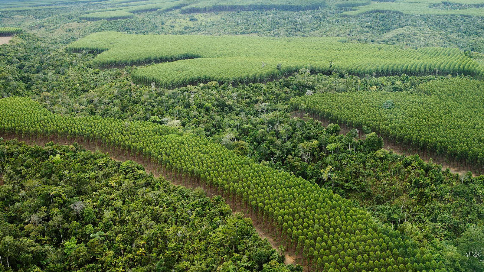 The GEF Food Systems Integrated Program Launch