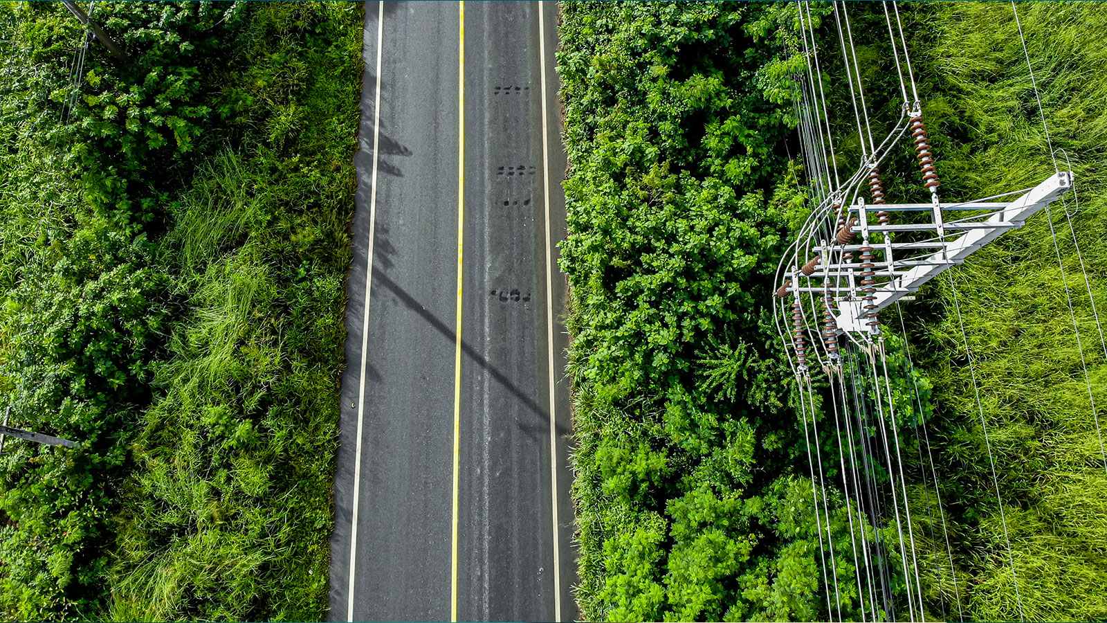 Private Sector Country Roadmaps: Leveraging Philanthropic and Private Sector Resources for Food Systems Transformation