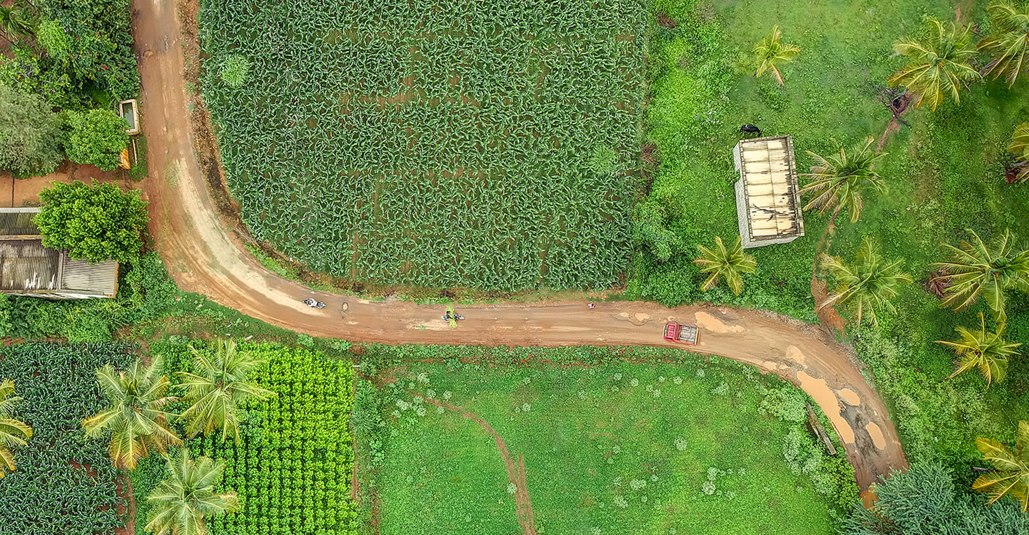 Driving Climate-Smart and Resilient Agriculture