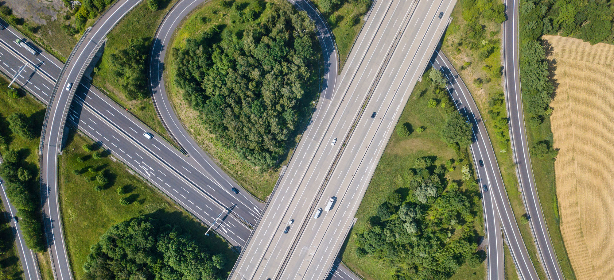 Transport & Mobility Decarbonization