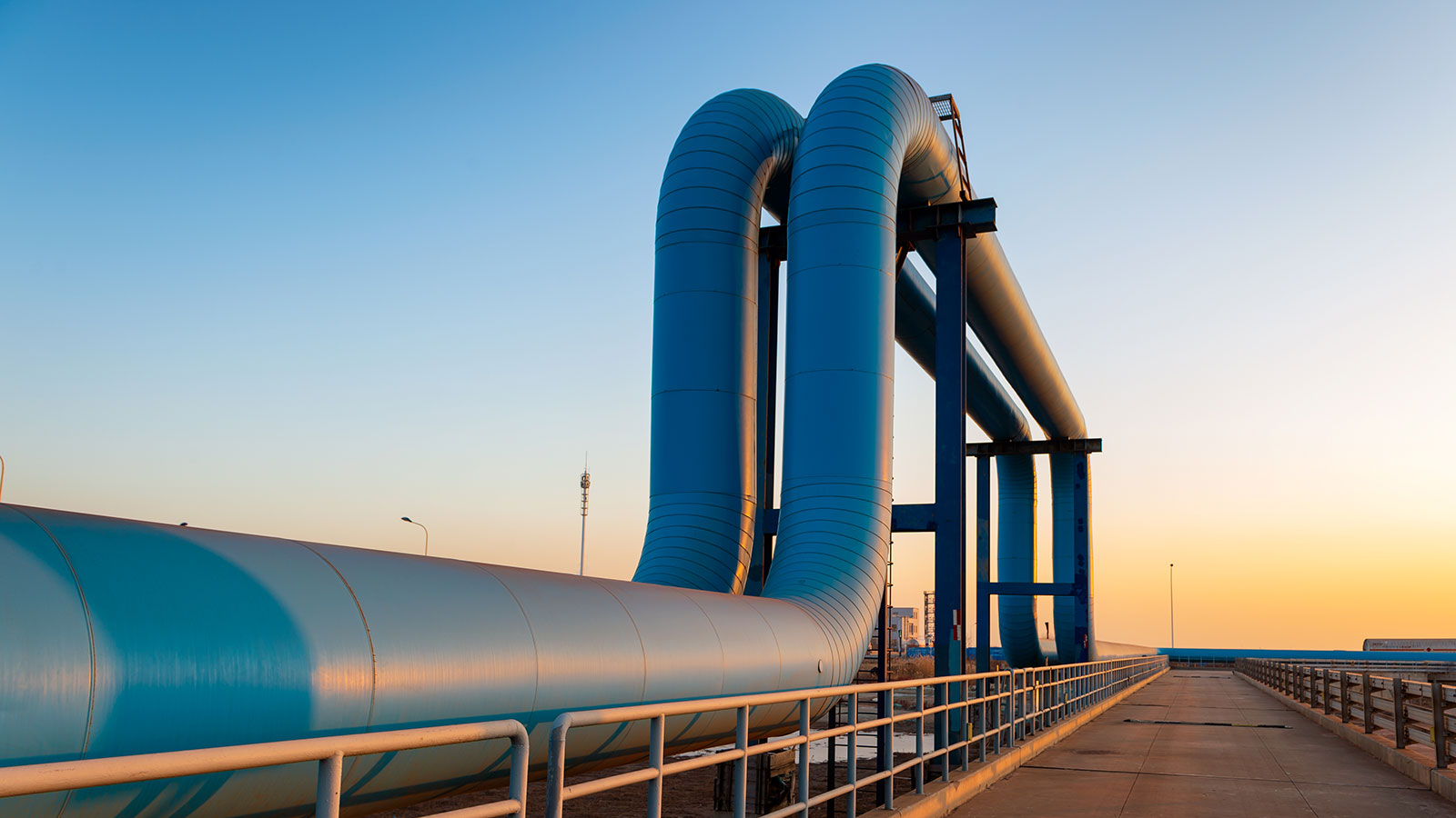 Business Models for a Regional CO2 Market 