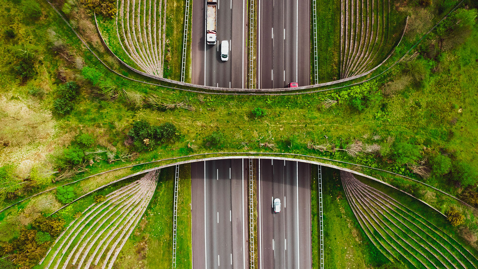 Connecting Avoided Emissions and Transition Finance 