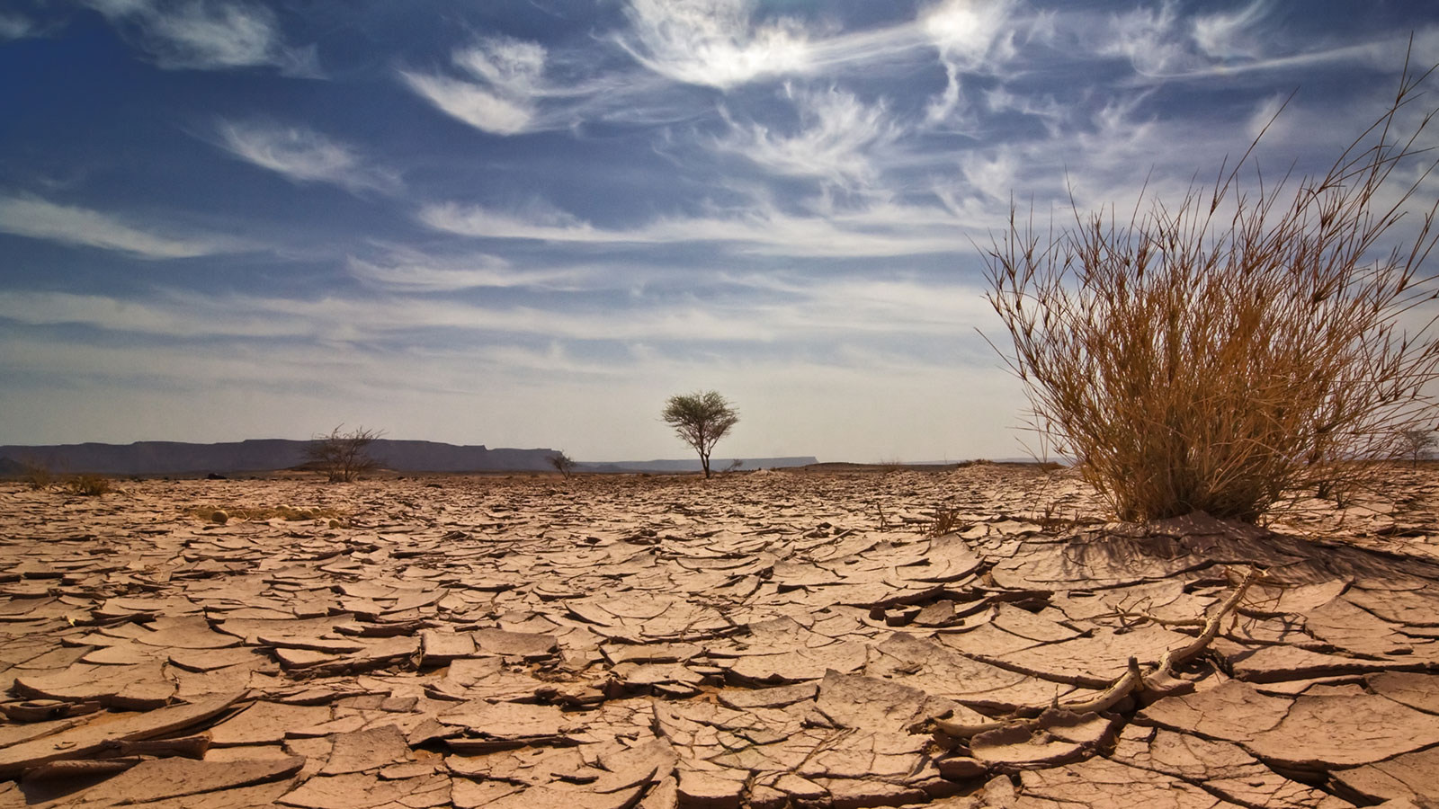 Quantification of Physical Risk 