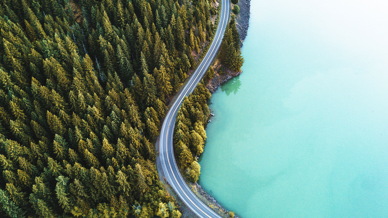 Scaling Product Carbon Data Exchange