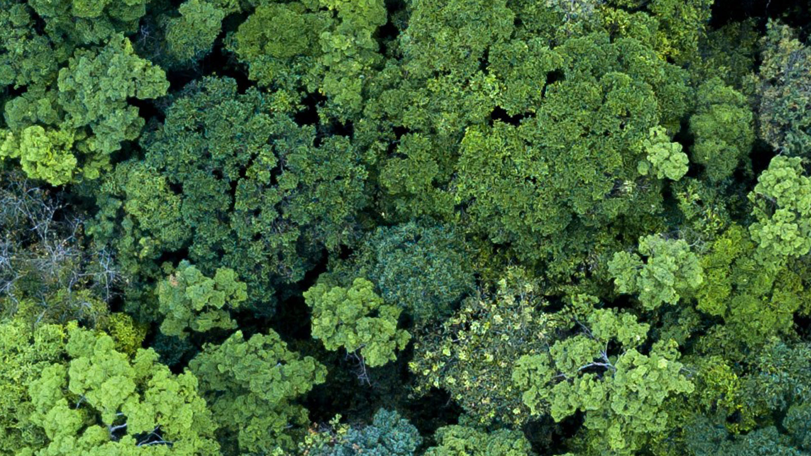 As nature-related risks and opportunities